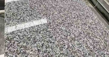 晋中 芙蓉白光面