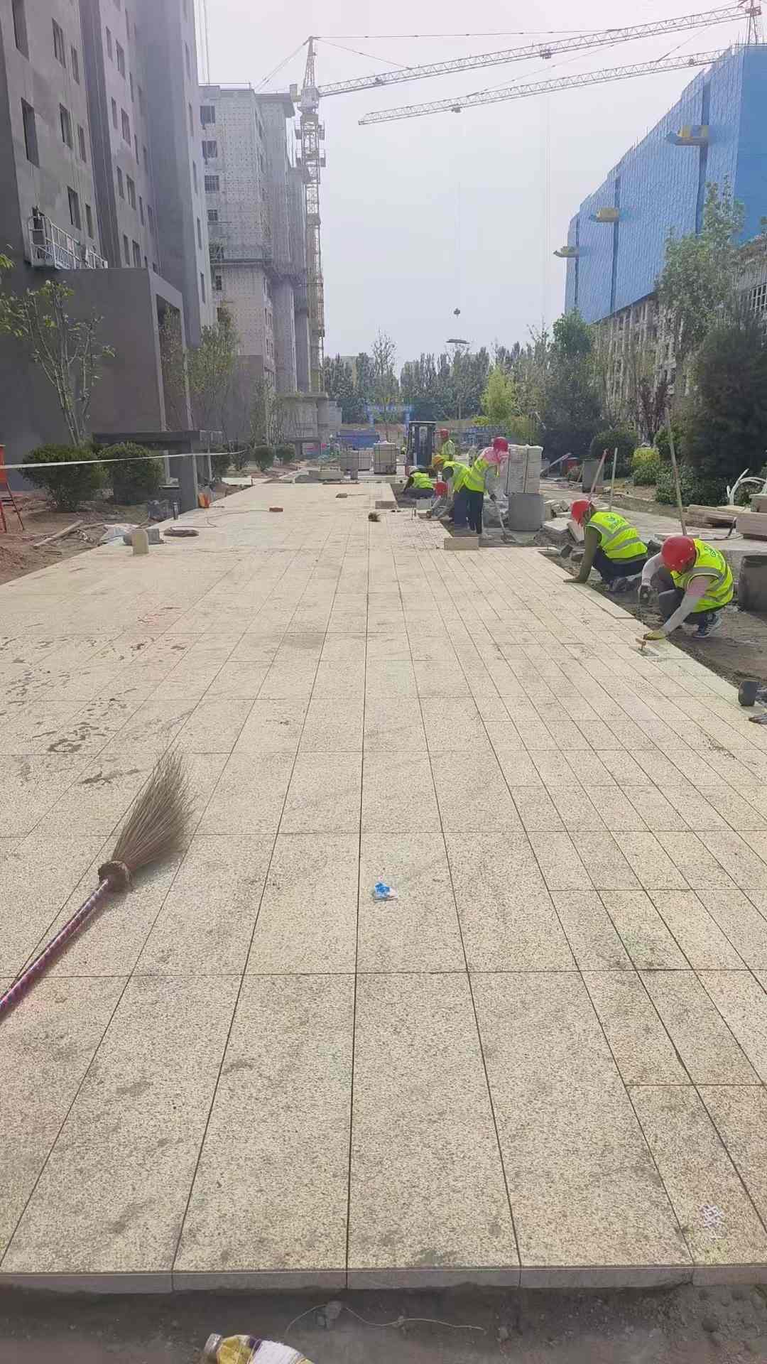 晋中黄金麻荔枝面地铺案例