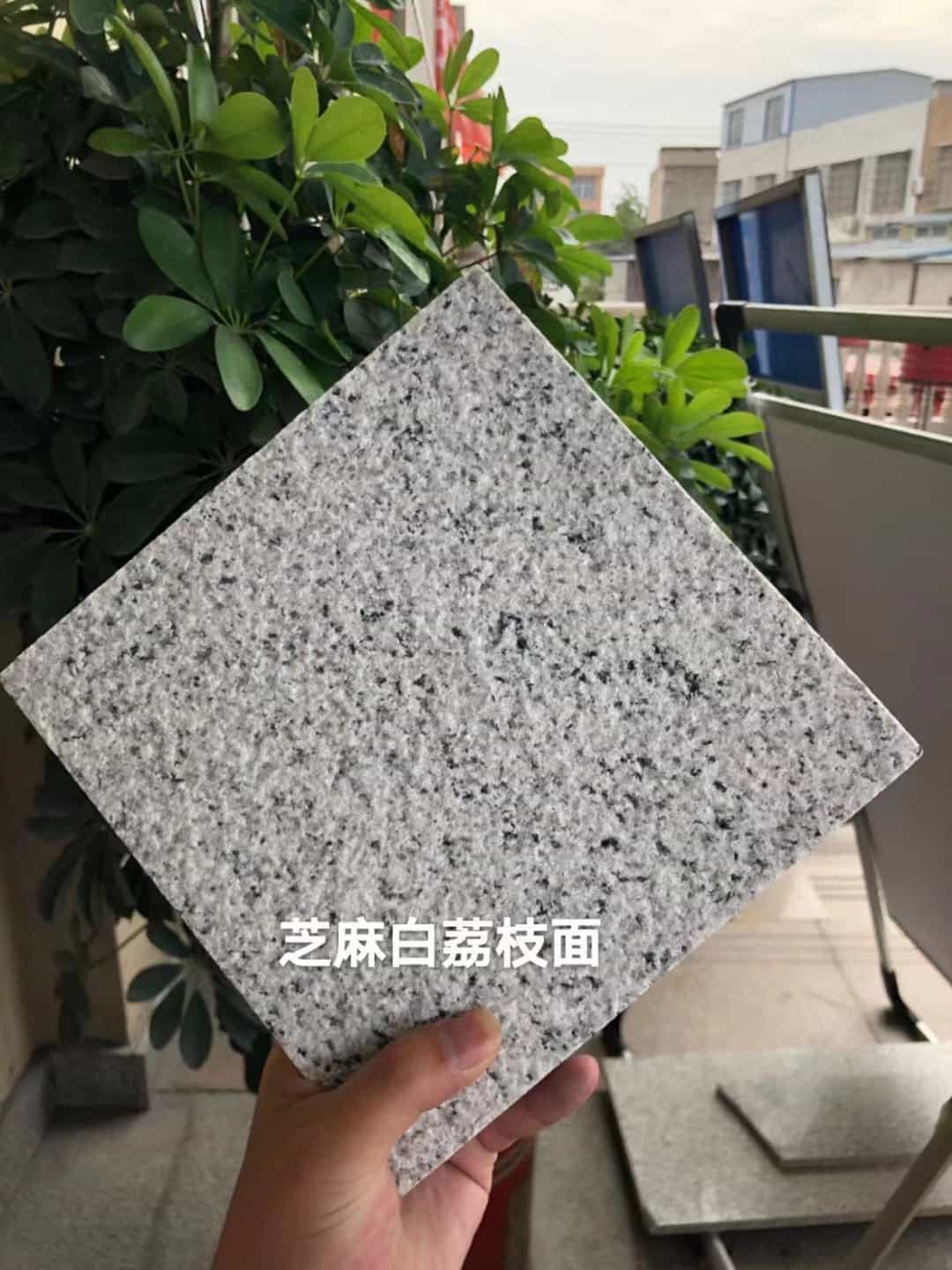 晋中 芝麻白荔枝面干挂